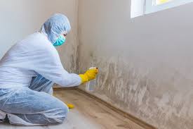 Mold Odor Removal Services in Hoxie, AR